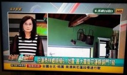 台湾的最新爆料新闻视频,揭秘台湾重大新闻事件内幕