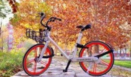 石家庄单车爆料最新消息,最新动态揭示城市共享单车发展新趋势