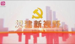 龙岗爆料新闻事件最新,最新爆料揭示惊人真相
