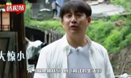 黄磊吃鸡爆料视频大全最新,揭秘明星厨房里的美食传奇