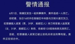 南阳高三爆料案件最新,揭秘校园疑云背后的真相