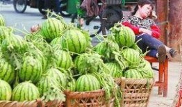 西瓜最新事件爆料,最新爆料揭秘幕后真相