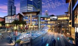 夏湾宠物街最新爆料,独家爆料揭秘宠物街最新潮流趋势