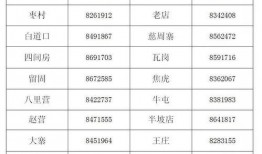 大琪爆料开播时间表最新,最新开播时间表大揭秘，精彩不容错过！