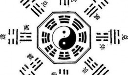 每日阴阳八卦爆料最新,最新神秘爆料大揭秘