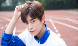 刘大锤最新爆料丁禹兮,丁禹兮神秘事件真相揭晓