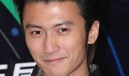 谢霆锋王菲最新爆料,独家爆料揭秘爱情故事