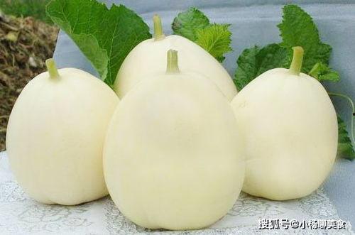 甜瓜最新更新爆料,揭秘幕后故事与精彩瞬间