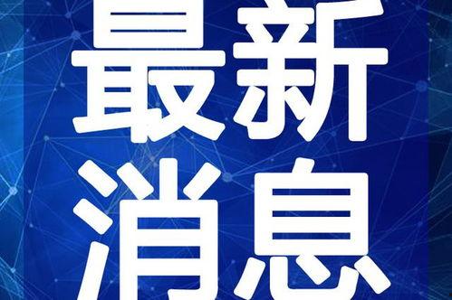 榆次黑哥爆料视频最新,最新事件背后真相曝光