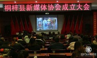 桐梓媒体爆料最新消息今天,最新事件引发社会关注！